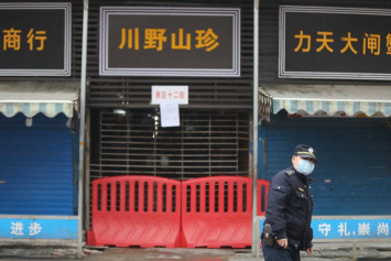 Coronavirus did not originate in Wuhan seafood market, Chinese scientists say