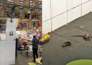 Oh rats! Rodents 'electrocuted' at food centre in Telok Blangah