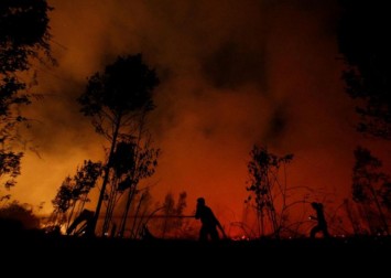 Indonesian province declares state of emergency over forest fires
