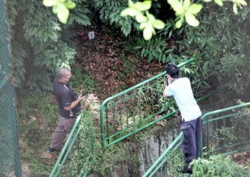 Cleaner finds man, 83, dead among bushes along busy CTE, alerts police