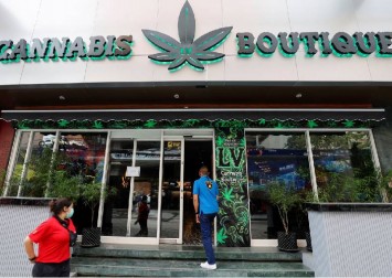 Apec host Thailand's budding marijuana industry faces backlash